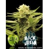 black dream eva seeds 1971339984