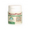 Myco-plant