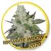 white-widow-_13313_1_20200514104008_